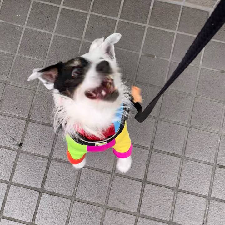 8e93c05e 3a7a 495f be3e 4addd5a01534 1715214661043