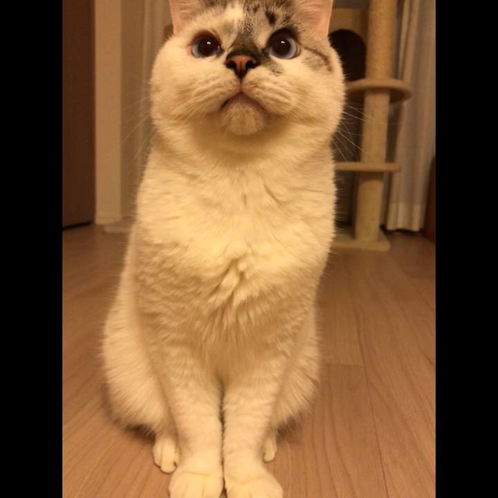 8e93db03 28d6 42a5 97e2 40c64ea240ad 1512211220879