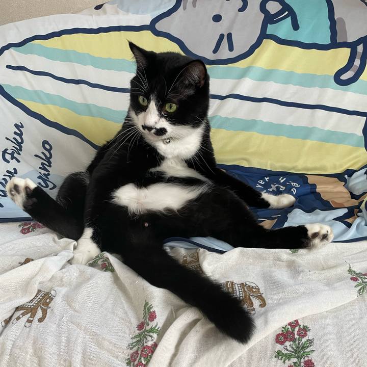 8e9418ce dd6f 4cf0 9594 8246c71abeb5 1693524983846