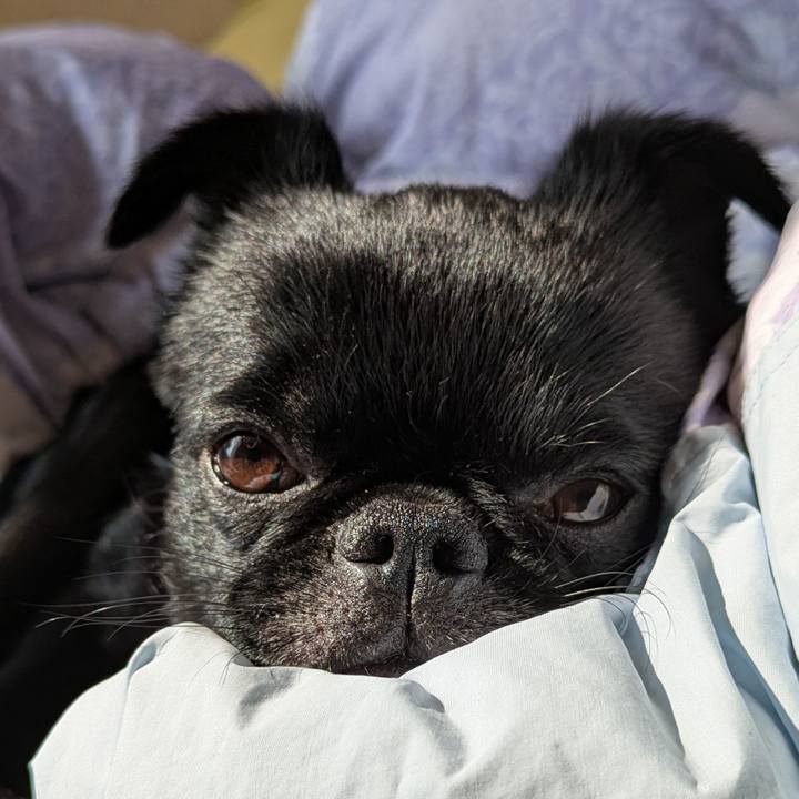 8e94214a 534a 464f a77d b5a4fd437c65 1774793082704