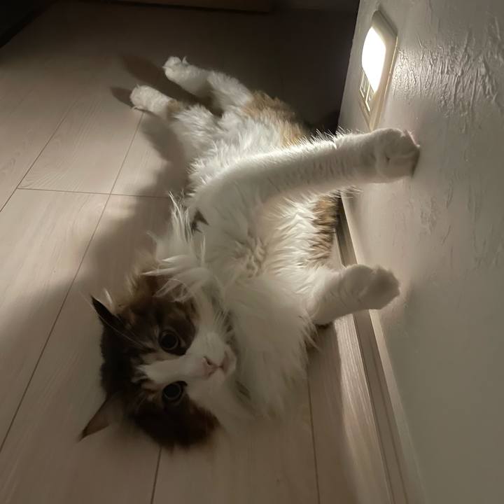 8e944069 dfc1 4ec2 bd88 2c0ec19dd365 1727467746289