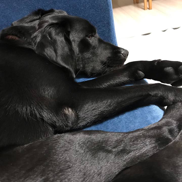 8e946521 6485 4c45 a07a 7aab02659144 1561984451405