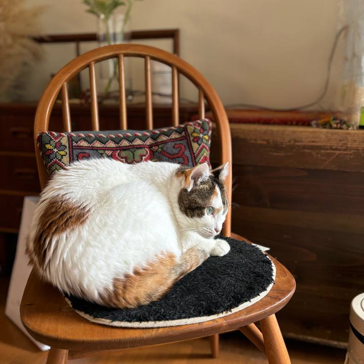 8e94737e 1db0 457e 8fa5 ea2827f7ff2b 1706492969605