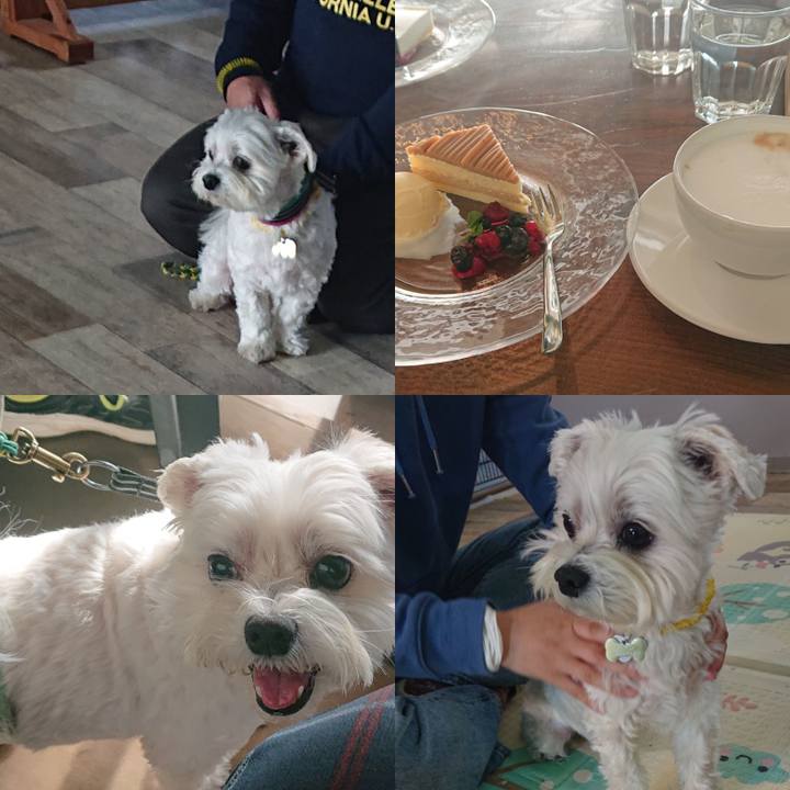 8e948919 aef7 406e 8da5 28441d3b57df 1608971103692