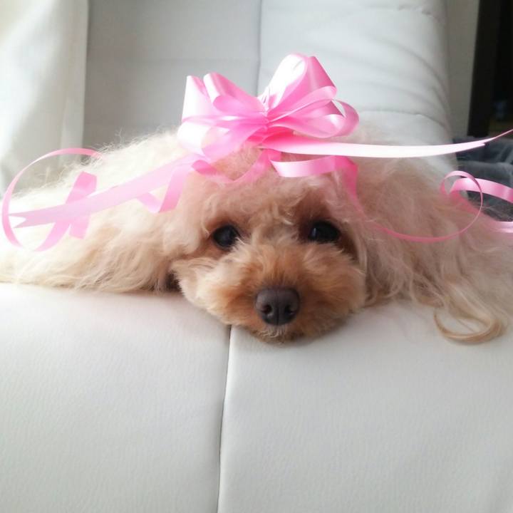 8e94aa7f d471 4306 a1ff 641f93d5ae27 1516147969698