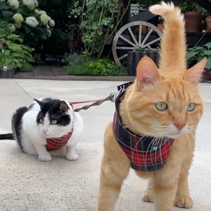 8e94e3ec ef4d 40ec a4db 3c1b42ce3f2c 1625302100790