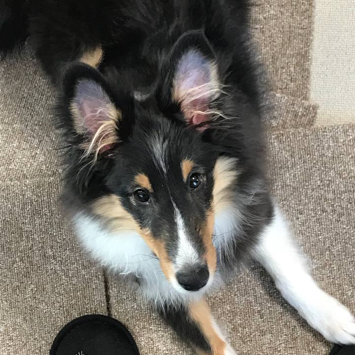 8e95297a ee89 4bce 8d55 bac2776a0f19 1515712468430