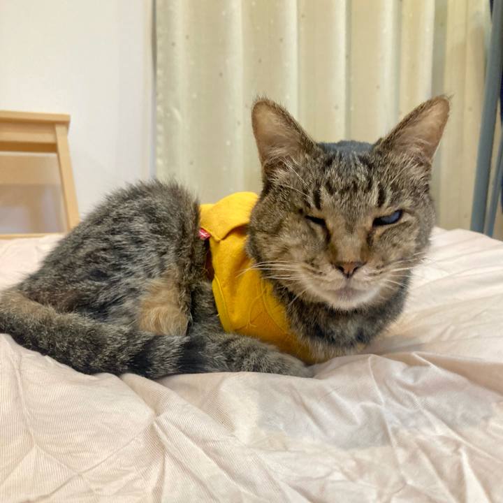 8e95346a 1cfb 4742 8869 206e73dc449b 1681596500250