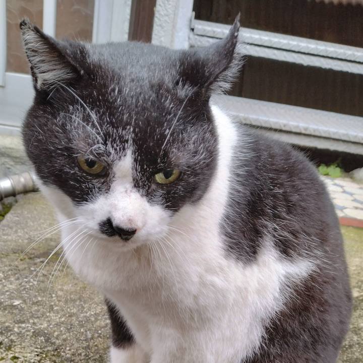 8e95355b 5eab 45c4 991b caf6ce08d2d7 1702684116988