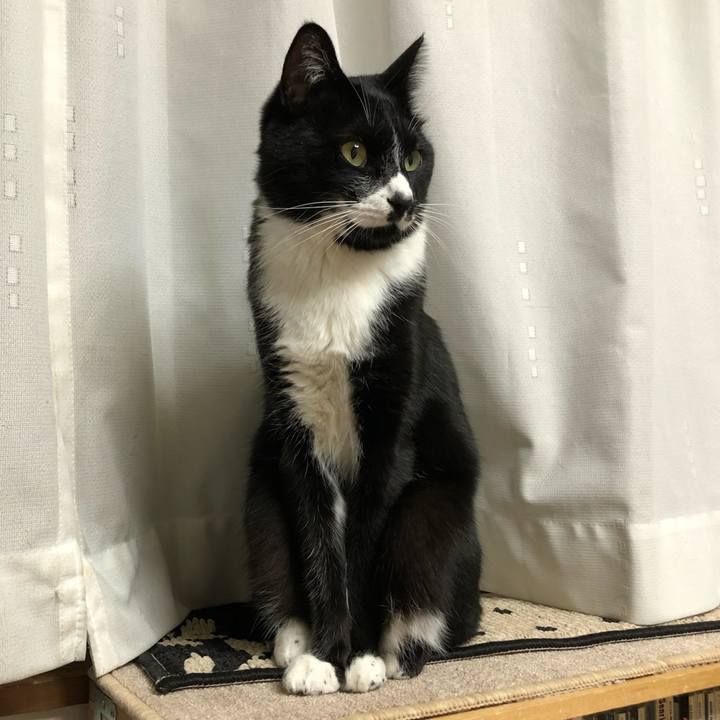 8e953a3d df78 4e30 915e 16b287df2767 1575768574463