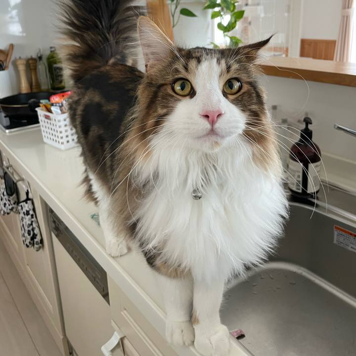 8e953d10 335d 414d 93f0 729c0ae5ade1 1644892950663