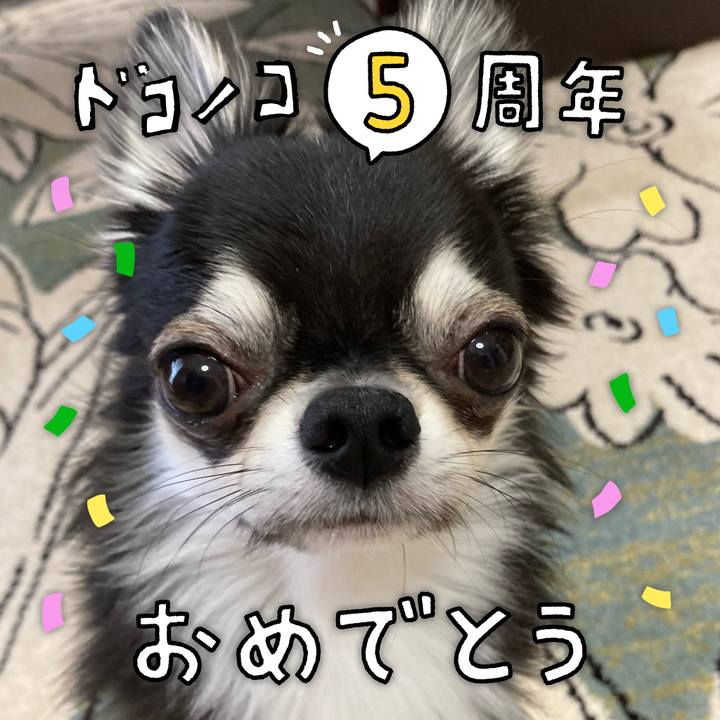 8e955140 04c7 43f8 a7a1 4db5c50a903f 1623452172675