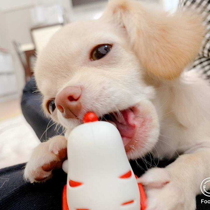 8e9568f4 a4a1 442e 9bc1 5e7d4d4a9352 1592542631335