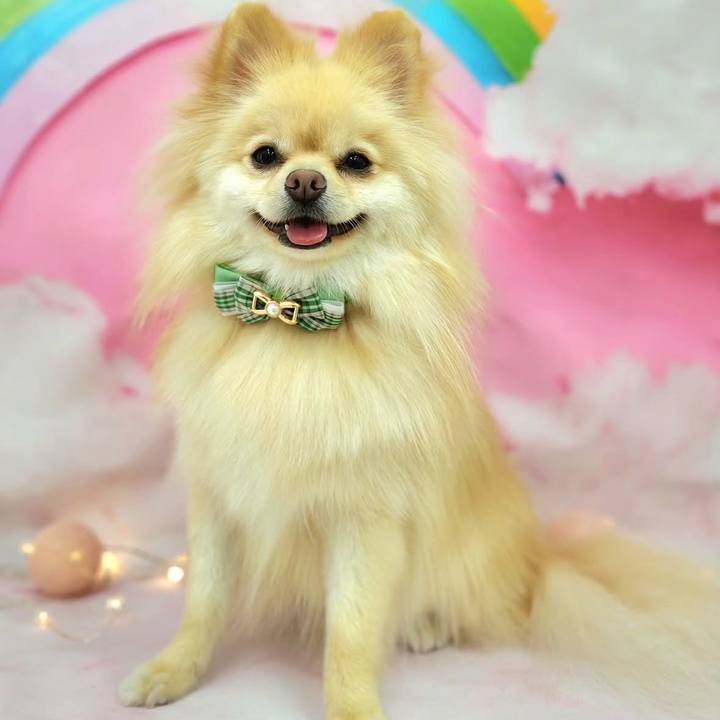 8e957626 de63 4ab0 9840 5c80c66226b4 1749820805377