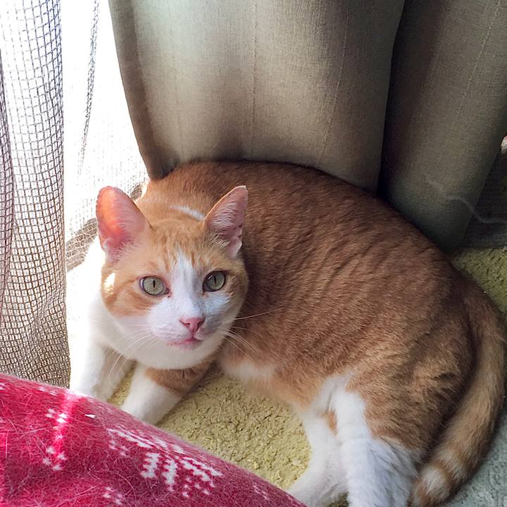 8e9595a5 7c6f 4cd9 9af7 9f51f9c4c860 1598083232599