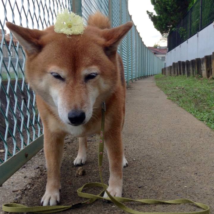 8e95af03 6975 4b53 82b2 1ce91a80db41 1563959546993