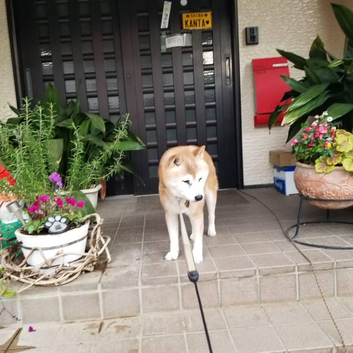 8e95b3c0 11dc 4399 b44a beb9b7b698ac 1762348088526