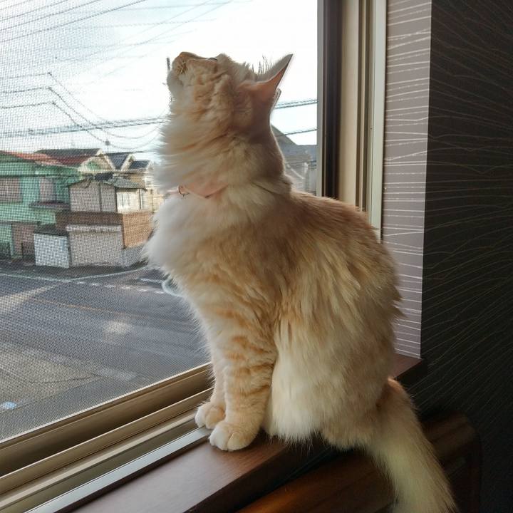 8e962a93 a5c0 4566 ace2 ed3030c842ba 1629327634847