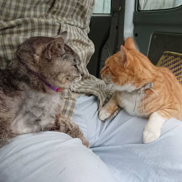 8e962c26 ee7e 4cdf 8106 2132f5935000 1593981293690