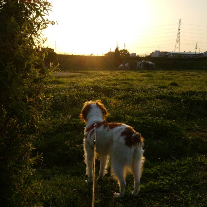 8e966747 1143 460f ba30 19078cb9a089 1525695764125