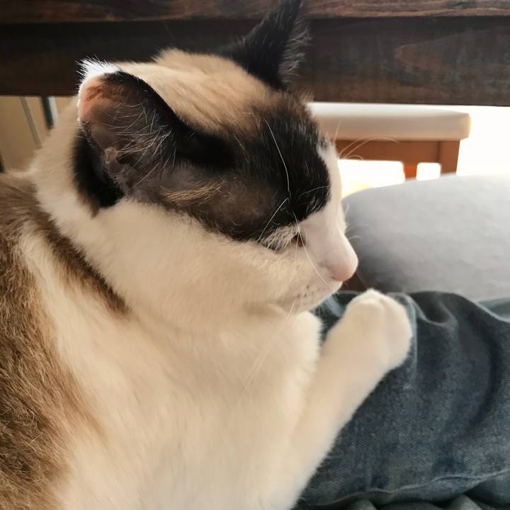 8e96821e 57e1 4372 9110 479357c9815e 1579570745081