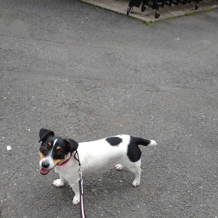 8e96c48c 2496 43bb b24e daf30906c78b 1563932591018