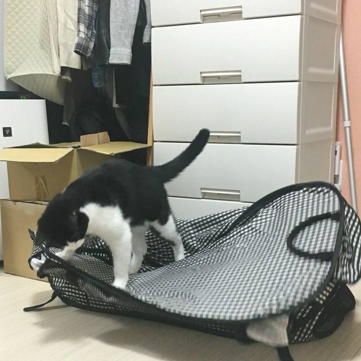 8e96d3bf dd3a 457b 8f99 bfa94457aab1 1539826456579