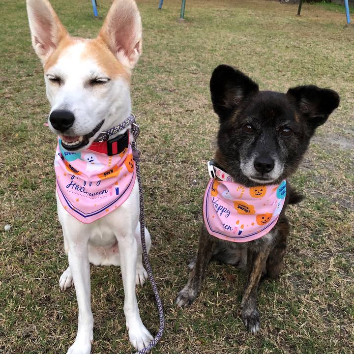 8e970796 3bc0 46c3 b22a 0702cf21c94b 1602585107840