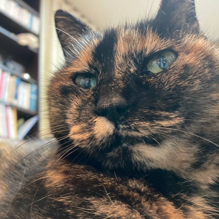 8e971101 389b 4e00 b25f b41cbac05bb7 1742433040438