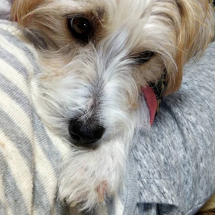 8e971594 6dce 40ed b8db 74d69378e5cc 1542980994145