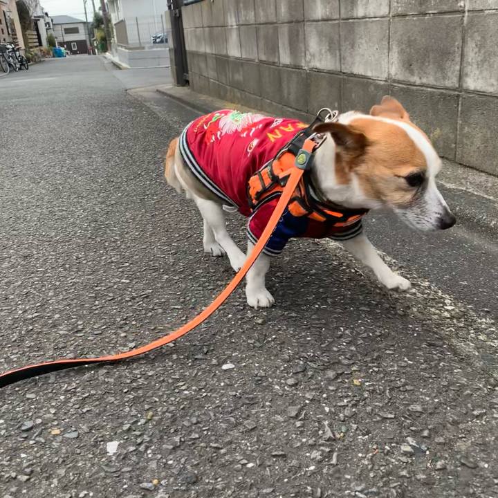 8e972abb ddbc 49a1 898e 2a766173fdd3 1645661858808