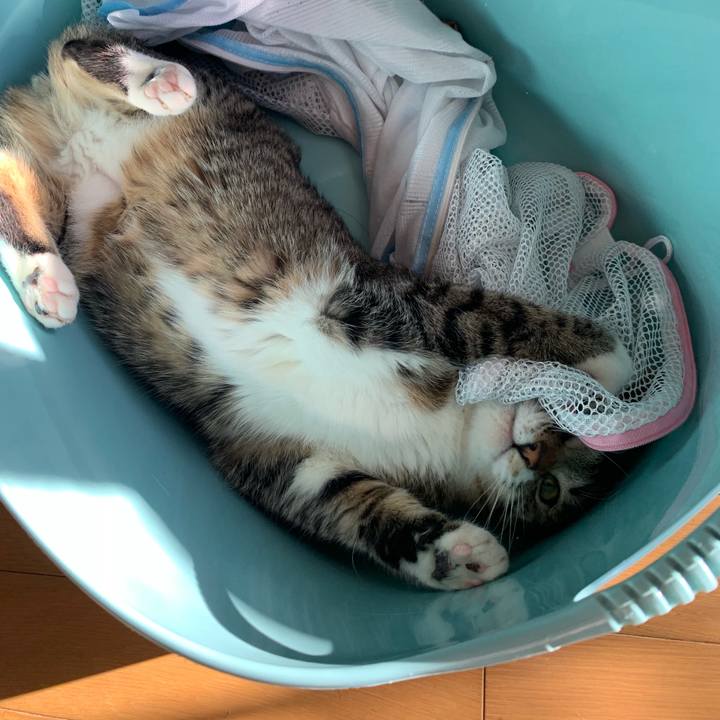 8e976896 63b3 442e aca1 6b20f275543b 1555382217700