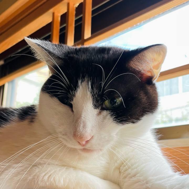 8e977bf8 6270 4631 af1a 14b4388206d6 1636425215038