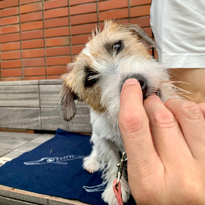 8e978a3c 9909 4cf4 bd51 e87f63bf8e3d 1601716304946