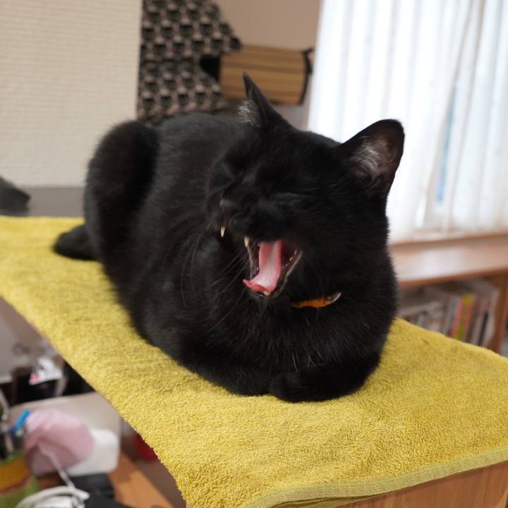 8e97b9a6 d470 4ea2 b18b 06f0ec473115 1594131116551