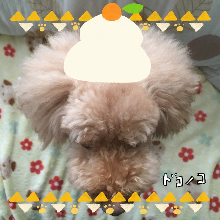 8e97c6b5 b439 4802 bf1a 6b79db77f168 1704081221658