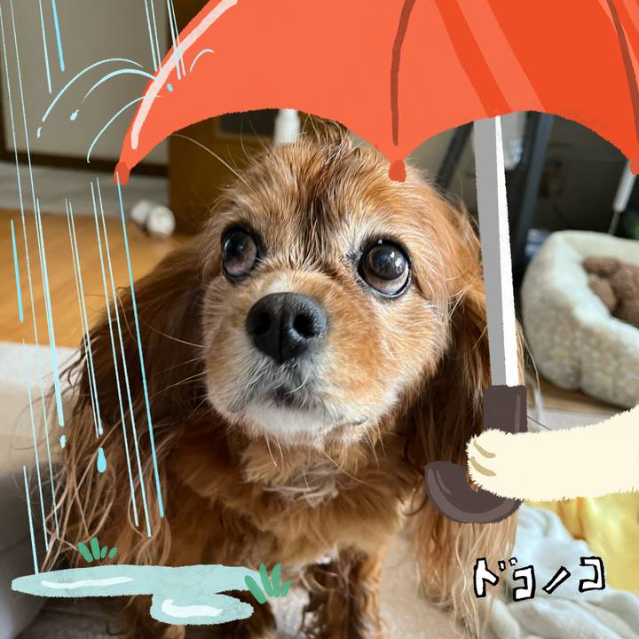 8e97e852 f62a 4545 9b5b 88bcfdea7519 1749357126534