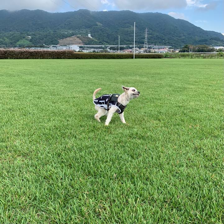 8e981610 d026 4bcd a4f9 4e65d2007a22 1631796659950