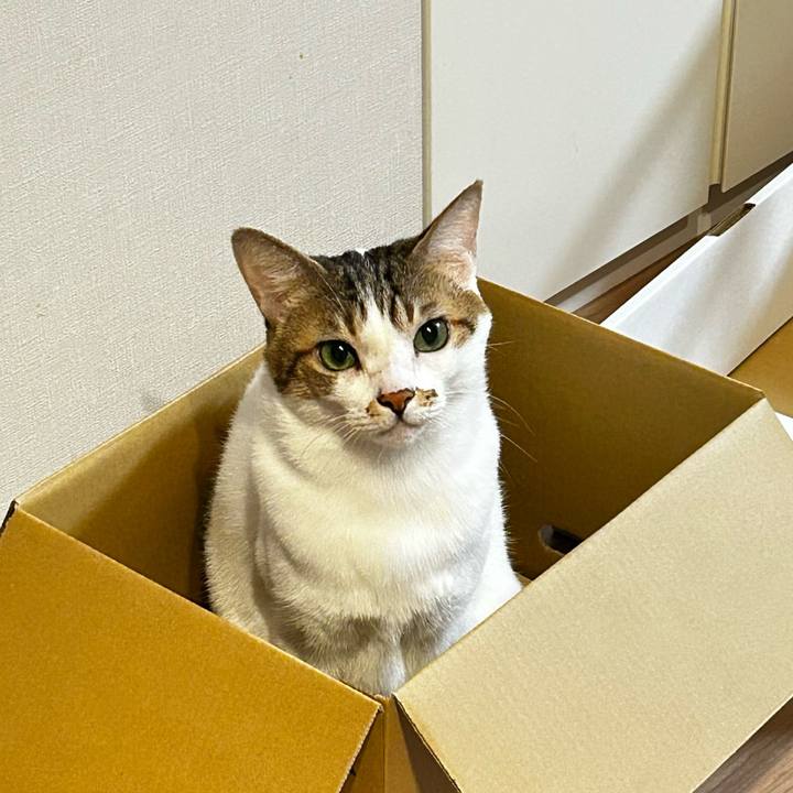 8e986e7f eeb4 42df 885d 5aa287e5f5a4 1763423626453