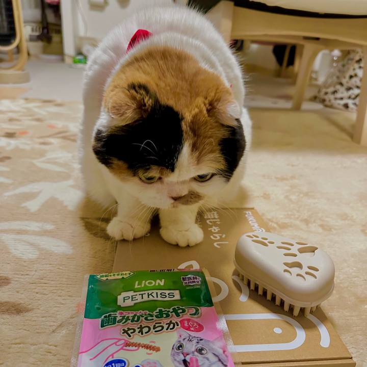 8e9878d9 3bc5 4f46 a3be aa7f0a3c4020 1729518358546