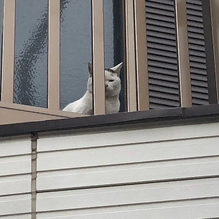 8e98b548 1bdd 4eee b7fa ad5495035f8b 1555085705893