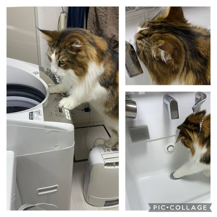 8e98b56f 7ae9 41b5 ac0f e9dba462e62e 1731707180032