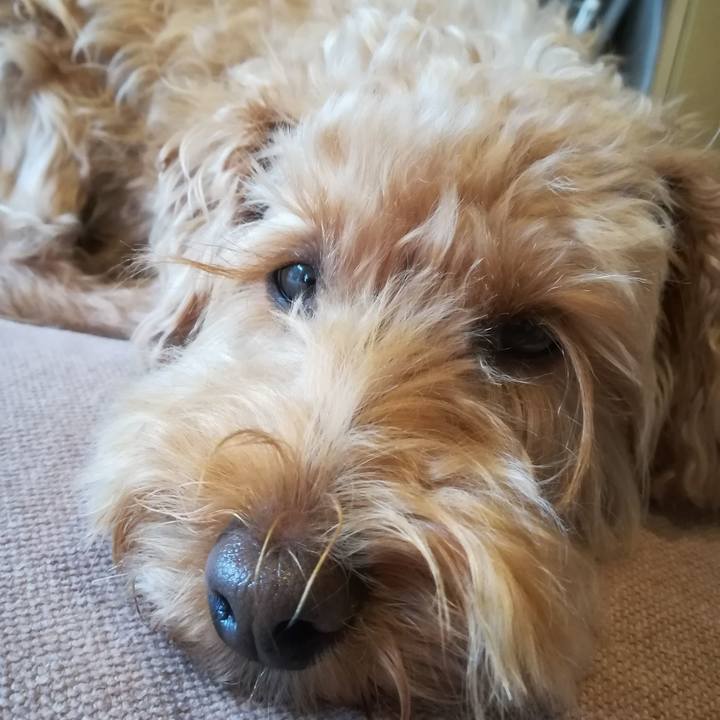 8e990412 7a93 4be1 9442 1bc58f7d6834 1538875753268