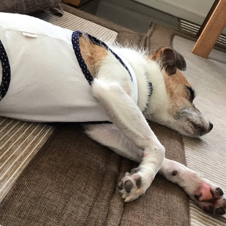 8e996a58 964b 48c9 9e20 b6c02ff92b08 1567825887358