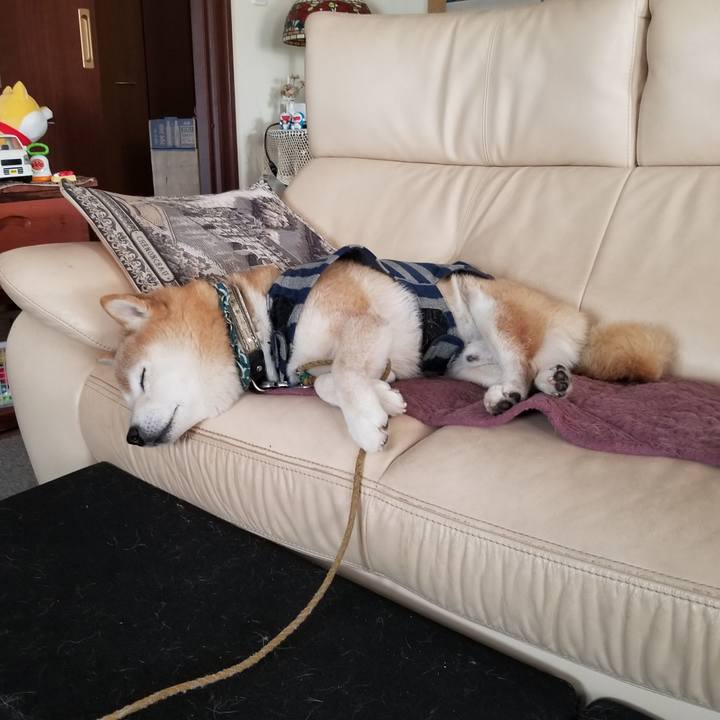 8e999188 94c2 4565 97ea 9c91f51f9259 1704689440695