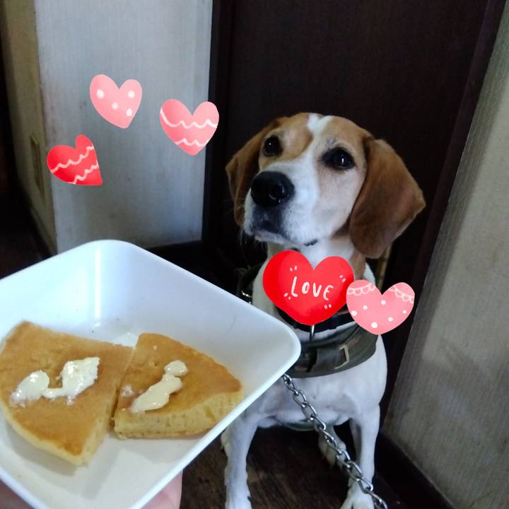 8e99d12e b0d3 40a6 ab8a 474b1401b560 1698837421822