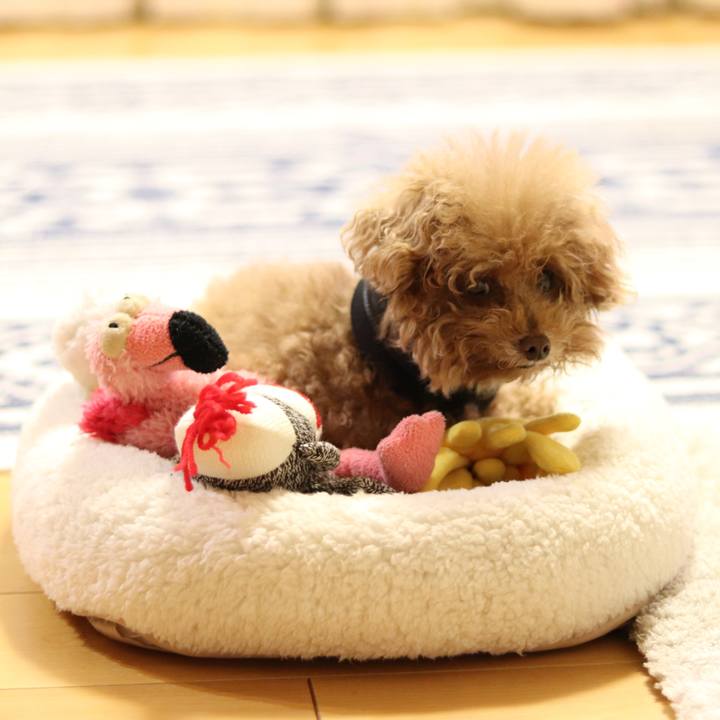 8e99debc 88c3 446b 99a7 49749fd1ca68 1552396449936