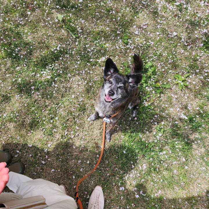 8e99f52a 1552 459d 918f 748a234832d2 1681637576699