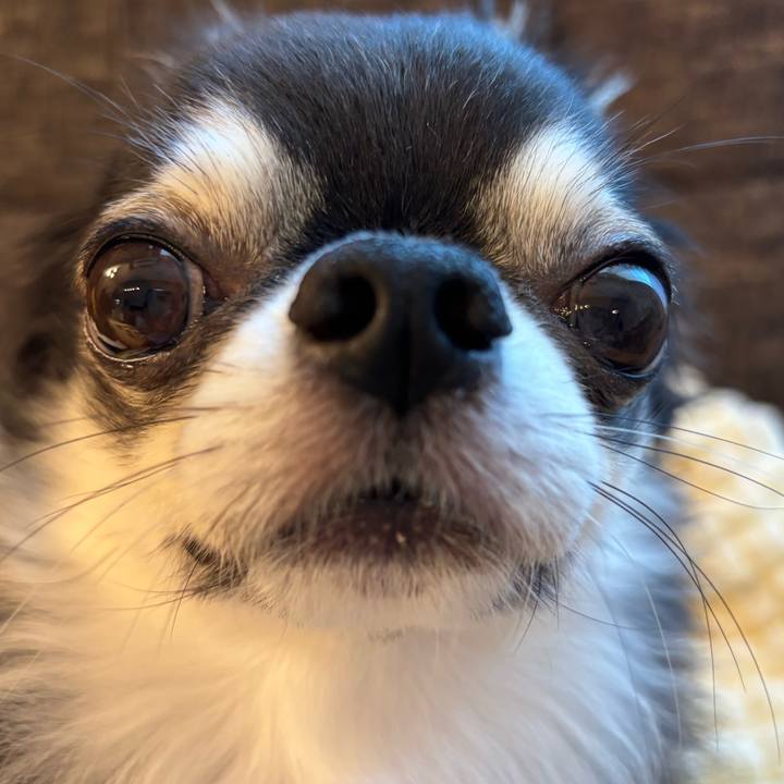 8e99fe15 c935 419c 92df 9606eecf8ca0 1728689886595