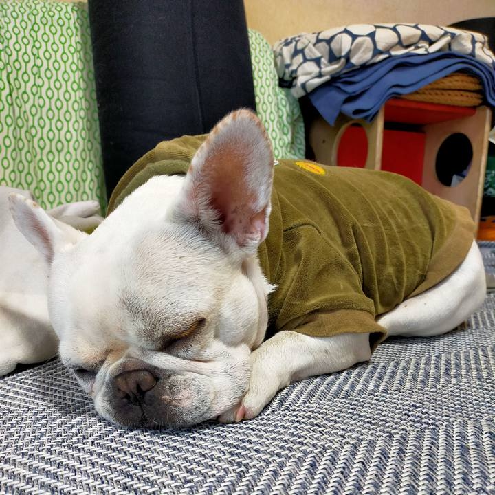 8e9a11f9 94f0 4f68 9afe cb7d9acb713c 1665096977234